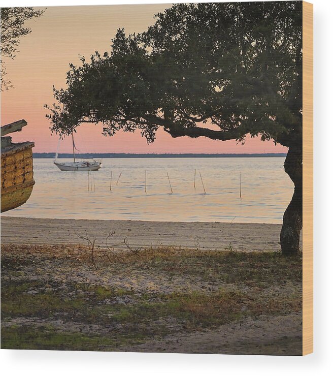 Florida Wood Print featuring the photograph Bayside by M Kathleen Warren