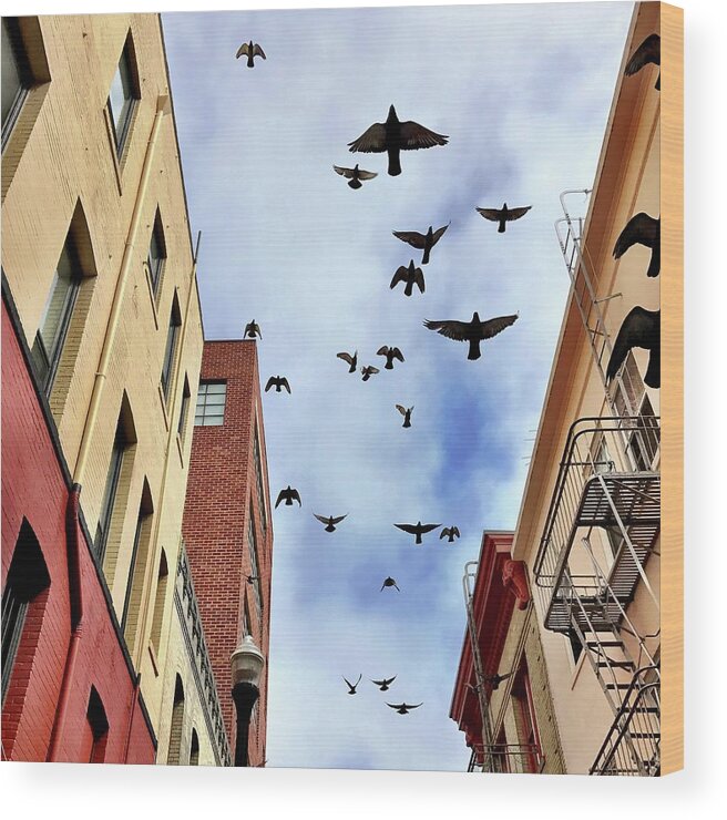  Wood Print featuring the photograph Birds Above by Julie Gebhardt