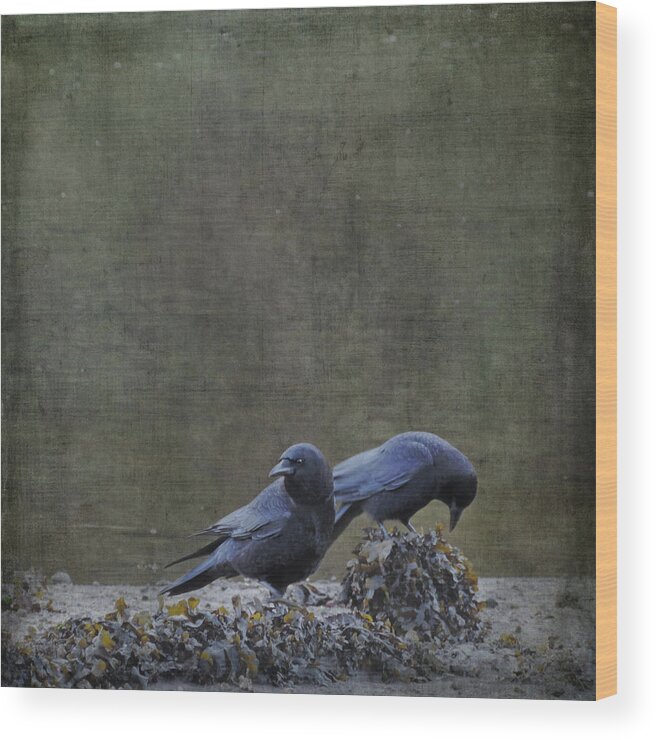 Crow Wood Print featuring the photograph Blackbirds at the Beach by Sally Banfill