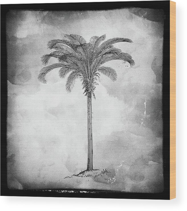 Black Palm Square Wood Print featuring the digital art Painted Black Palm Square by Kandy Hurley