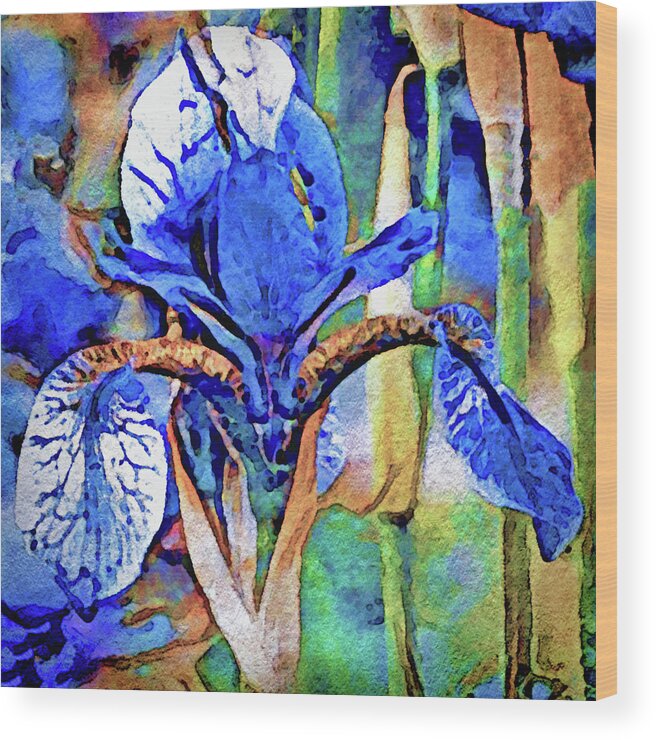 Blue Wood Print featuring the painting Blue Dutch Iris by Susan Maxwell Schmidt