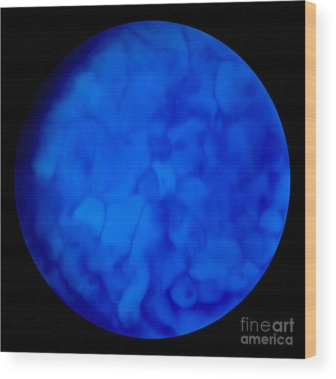 Blue Wood Print featuring the photograph Blue Java Moon by Tracy Delfar