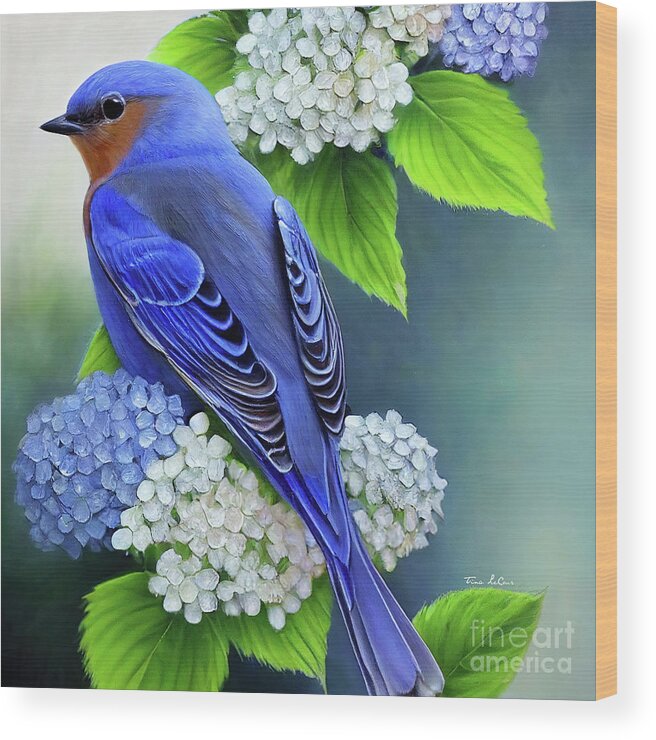 Eastern Bluebird Wood Print featuring the painting Bluebird In The Hydrangeas by Tina LeCour