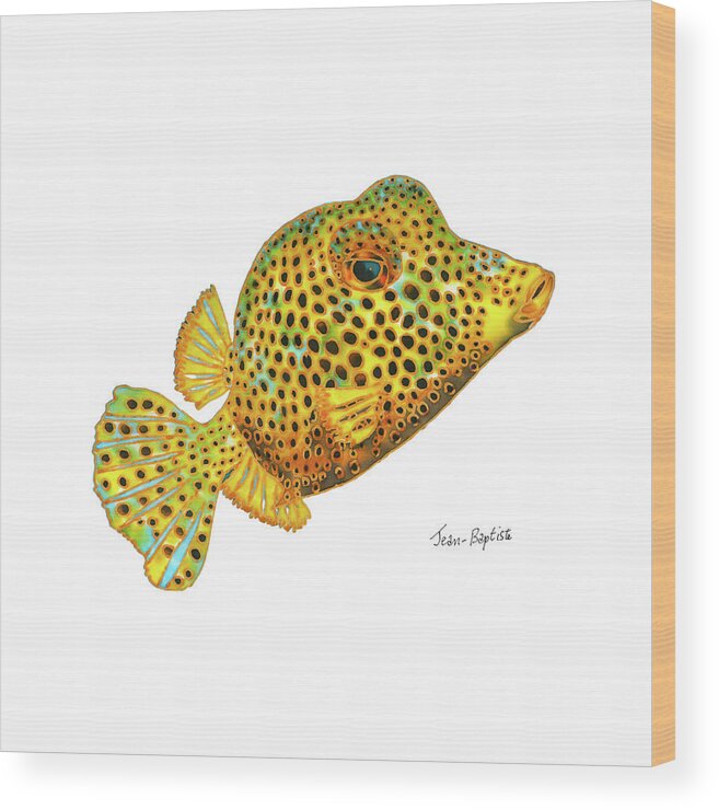 Box Fish Wood Print featuring the painting Box fish by Daniel Jean-Baptiste