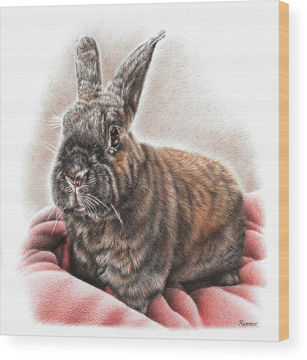 Bunny Wood Print featuring the drawing Brown Bunny by Casey 'Remrov' Vormer