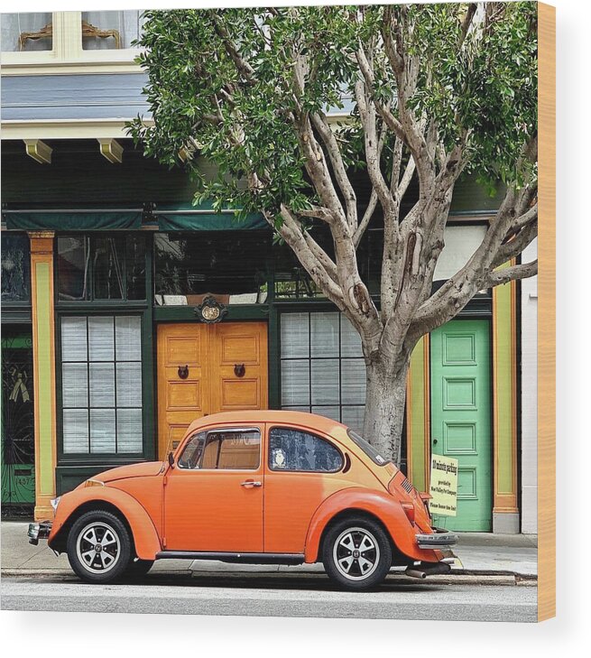  Wood Print featuring the photograph Bug And Doors by Julie Gebhardt