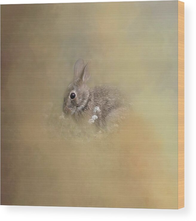 Bunny Wood Print featuring the photograph Bunny Eating Clover by Marjorie Whitley