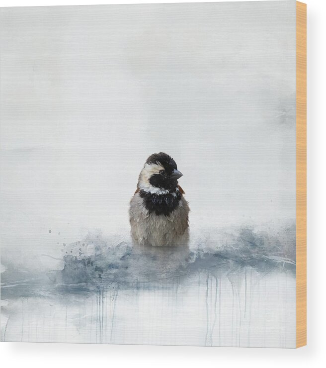 Cape Sparrow Wood Print featuring the mixed media Cape Sparrow Male Bathing by Eva Lechner