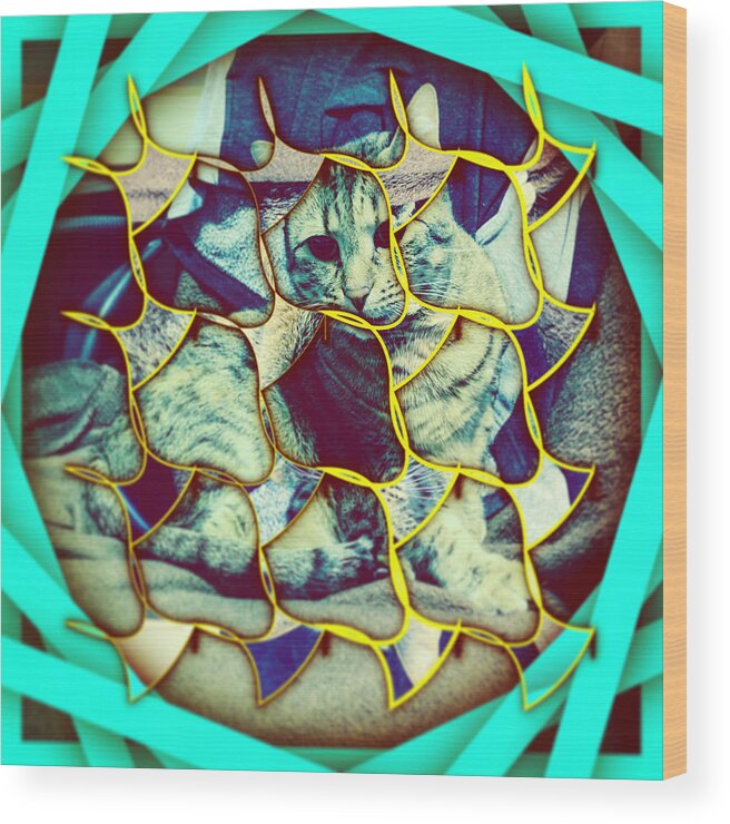 Abstract Wood Print featuring the digital art Cat 2 by Marko Sabotin