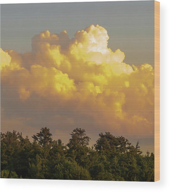 Clouds Wood Print featuring the photograph Copper Clouds by David Lee