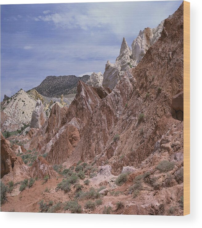 Utah Wood Print featuring the photograph Cottonwood Spires #1-SQ by Tom Daniel
