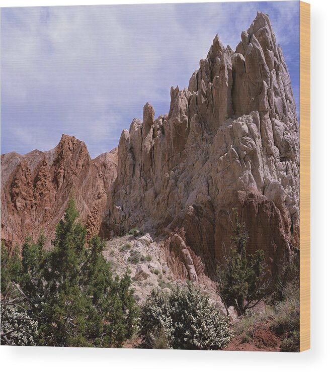 Utah Wood Print featuring the photograph Cottonwood Spires #2-SQ by Tom Daniel