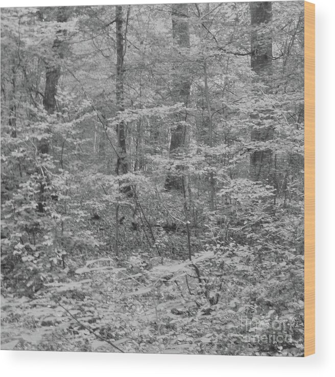 Forest Wood Print featuring the photograph Deep forest by Martina Rall