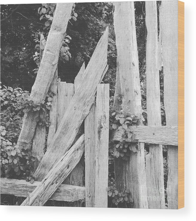 Black And White Wood Print featuring the photograph Don't Fence Me In by Jeff Danos