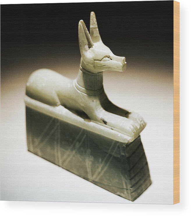Animal Themes Wood Print featuring the photograph Egyptian Dog Carving by Spike Mafford