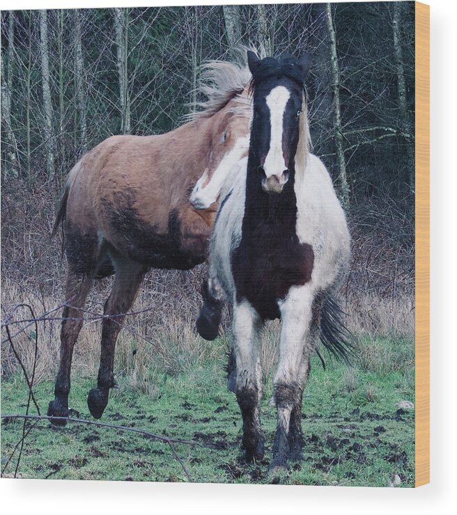 Paint Horse Wood Print featuring the photograph Energy by Listen To Your Horse