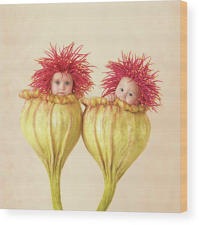Flowers Wood Print featuring the photograph Eucalyptus Babies by Anne Geddes