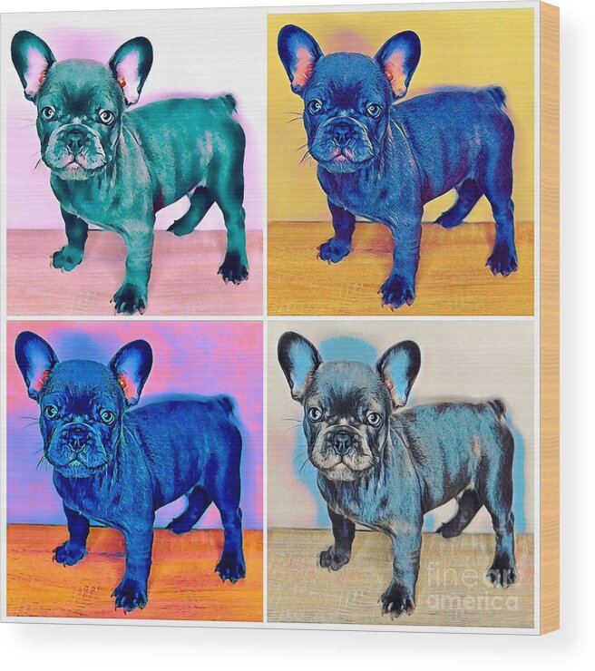 Blue French Bulldog. Frenchie. Dog. Pet. Animals. Wood Print featuring the photograph Feeling Bully by Denise Railey