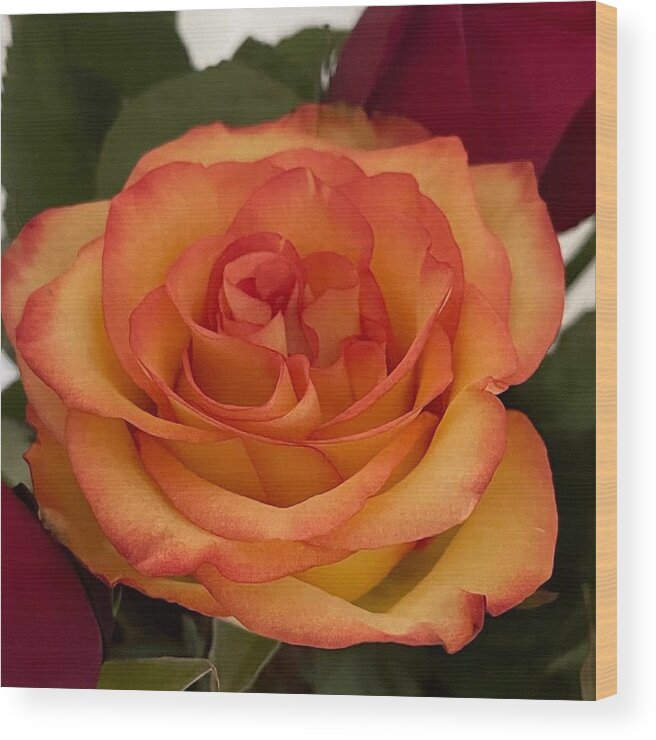 Rose Wood Print featuring the photograph Flaming Rose by Lisa White