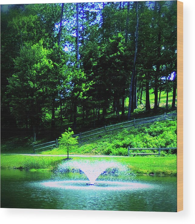 Fountain Wood Print featuring the photograph Fountain by Christopher Reed