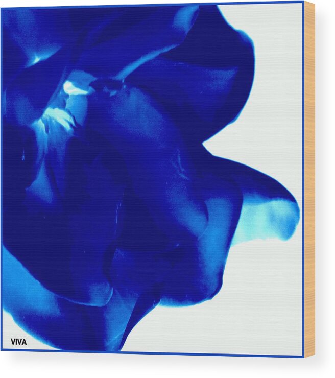 Gardenia Wood Print featuring the photograph Gardenia - Blue Abstract by VIVA Anderson