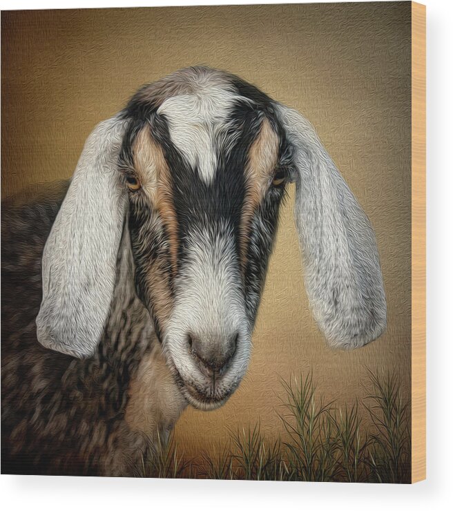 Goat Wood Print featuring the digital art Goat by Maggy Pease