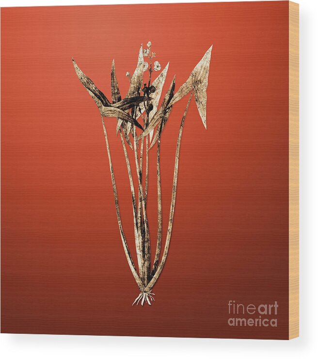 Gold Wood Print featuring the painting Gold Arrowhead on Tomato Red n.02486 by Holy Rock Design