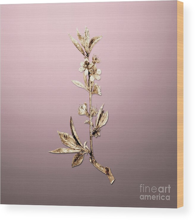 Gold Wood Print featuring the painting Gold Pink Flower Branch on Rose Quartz n.02768 by Holy Rock Design