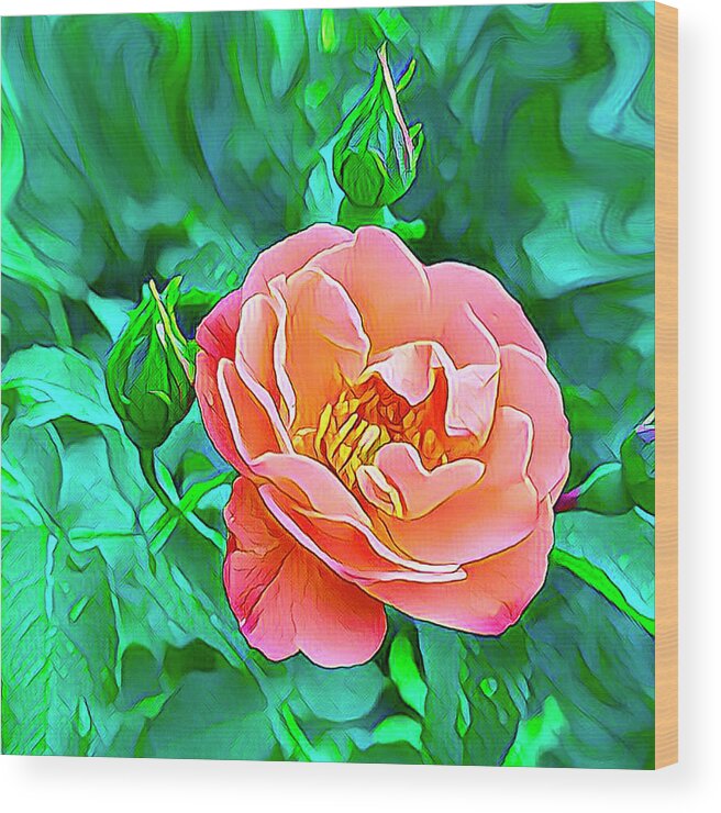 Flowers Wood Print featuring the digital art Gorgeous Rose by Nancy Olivia Hoffmann