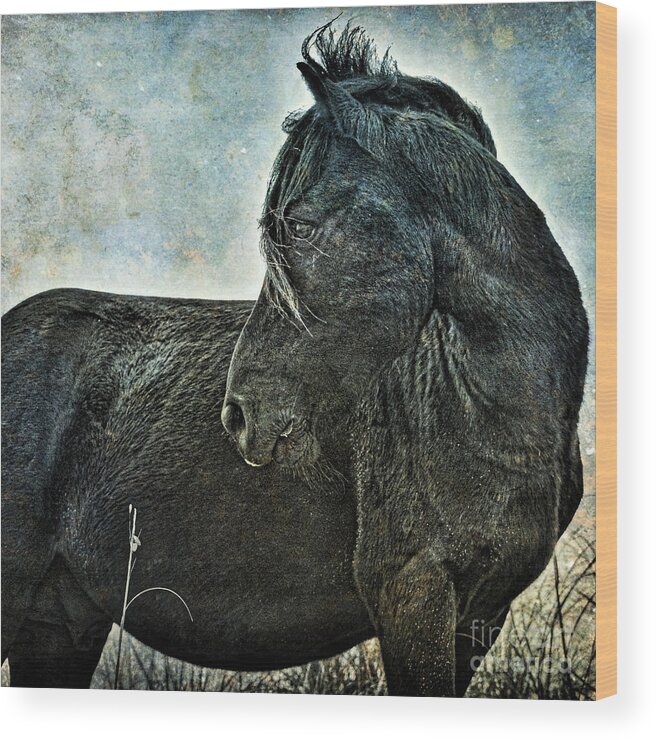 Horse Wood Print featuring the photograph Guardian by Parrish Todd