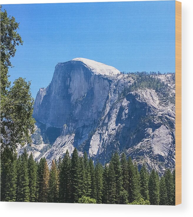 Yosemite Wood Print featuring the photograph Half Dome by Grey Coopre