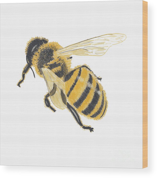 Honey Bee Wood Print featuring the drawing Hi Honey by Conni Schaftenaar