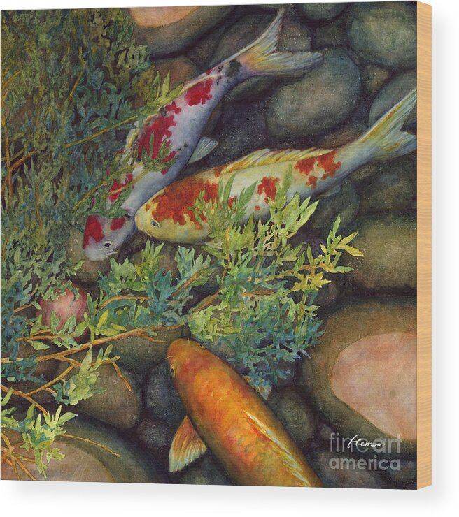 Koi Wood Print featuring the painting Hidden Treasure - Kohaku and Orange Koi by Hailey E Herrera