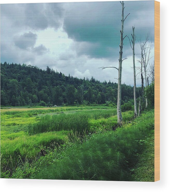 Hiking Wood Print featuring the photograph Hiking Rails to Trails by Grey Coopre