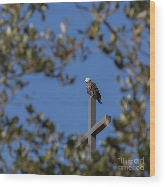 Eagle Wood Print featuring the photograph In God We Trust by JASawyer Imaging