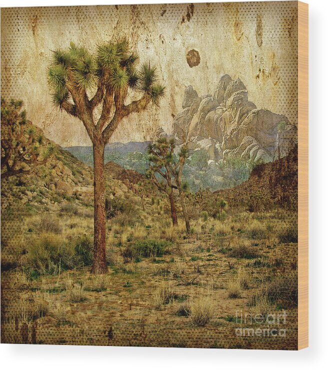Joshua Tree Wood Print featuring the photograph In God's Country - Joshua Tree National Park, California by Denise Strahm