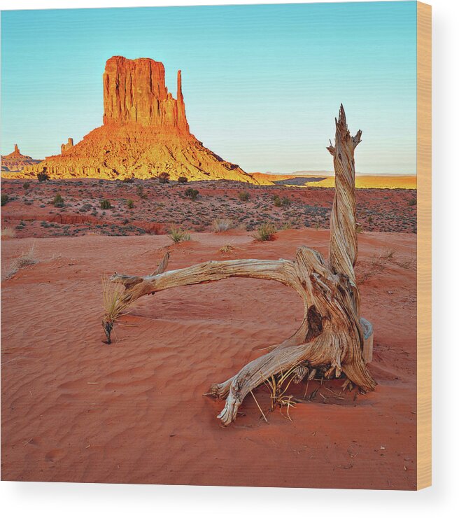 Monument Valley Wood Print featuring the photograph January 2020 Mitten and Stump Sunset by Alain Zarinelli