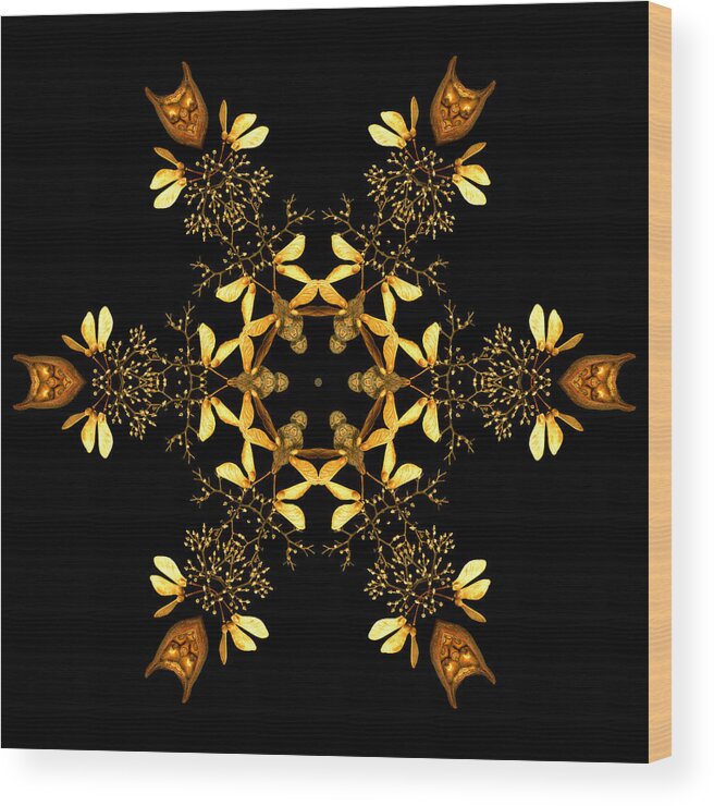 Mandala Wood Print featuring the photograph January Jewels II by Marsha Tudor