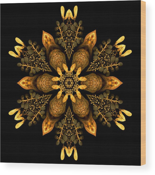 Mandala Wood Print featuring the photograph January Jewels IV by Marsha Tudor