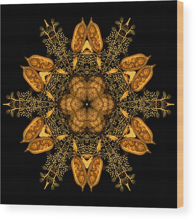 Mandala Wood Print featuring the photograph January Jewels VI by Marsha Tudor