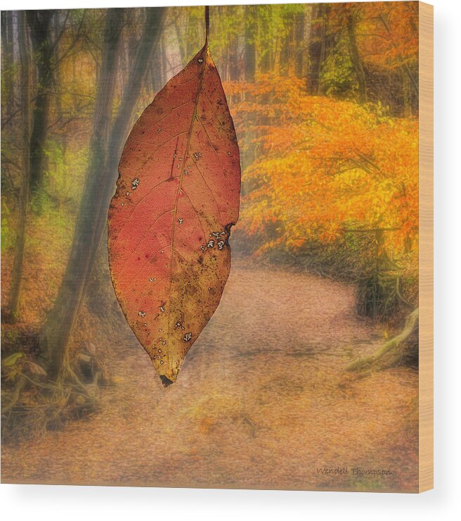 Fall Colors Wood Print featuring the photograph Leaf and Fall Foliage by Wendell Thompson
