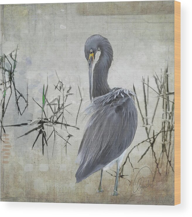 Bird Wood Print featuring the photograph Little Blue Heron by Karen Lynch