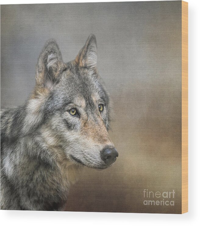 Wolf Wood Print featuring the mixed media Lone Wolf by Elisabeth Lucas