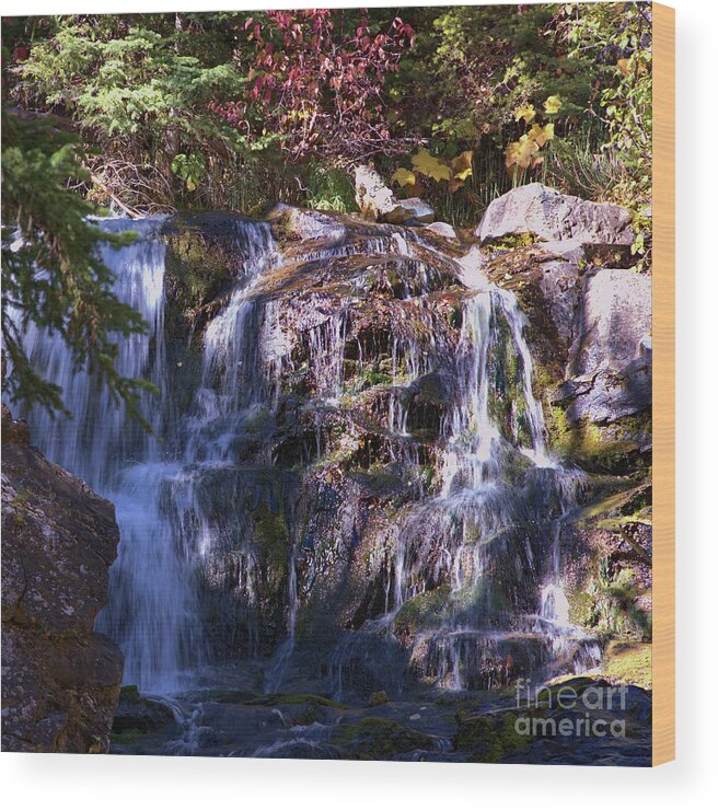 Waterfall Wood Print featuring the photograph Lost Creek Waterfall by Kae Cheatham