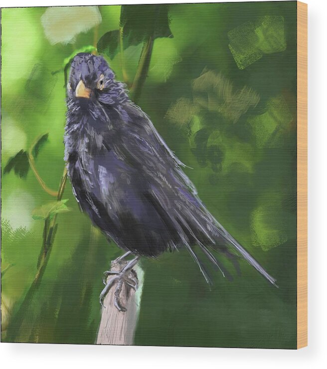 Wild Life Wood Print featuring the painting Marle aka Scottish Blackbird by Rob Hartman