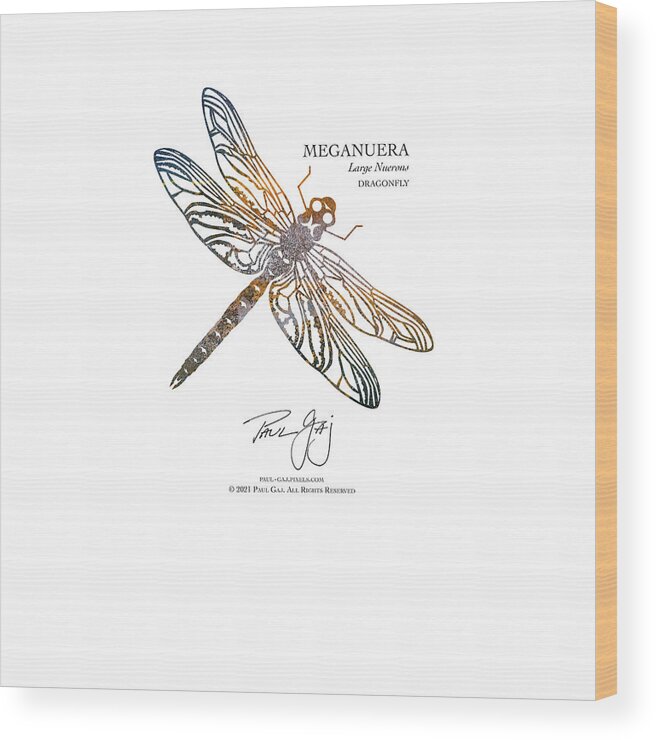  Wood Print featuring the mixed media MegaNuera Dragonfly by Paul Gaj