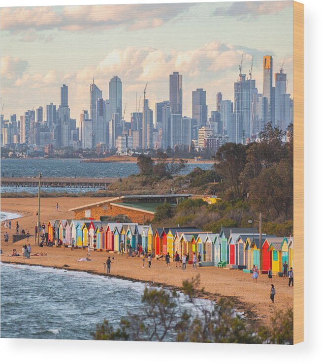 Beach Hut Wood Print featuring the photograph Melbourne Skyline from the Bay by Kieran Stone