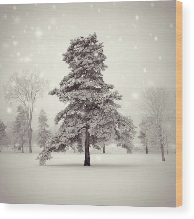 Winter Wood Print featuring the photograph Memory of a winter's day by RicharD Murphy