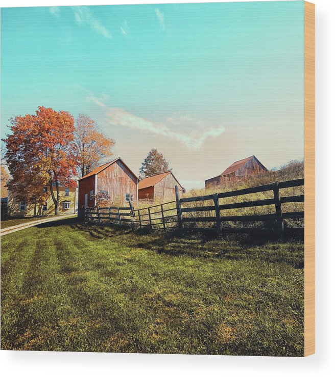 Farming Wood Print featuring the photograph Monroe County by Mango Art