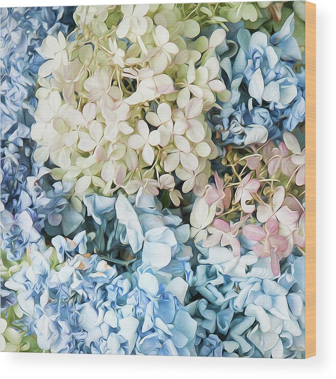 Hydrangea Wood Print featuring the photograph Multi Colored Hydrangea by Theresa Tahara
